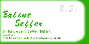 balint seffer business card
